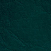 ca60b9cdedc3c2f6a25ba9831e9b804e.png